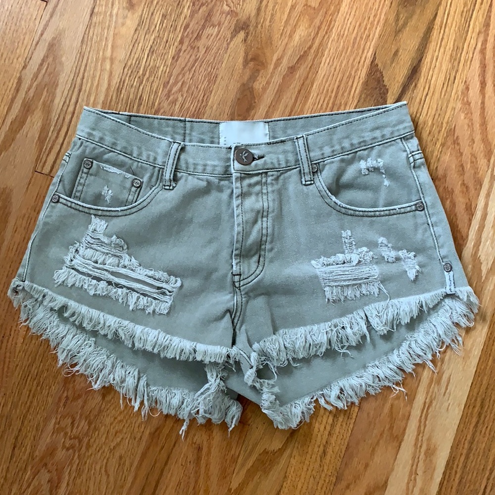One teaspoon Brandos shorts